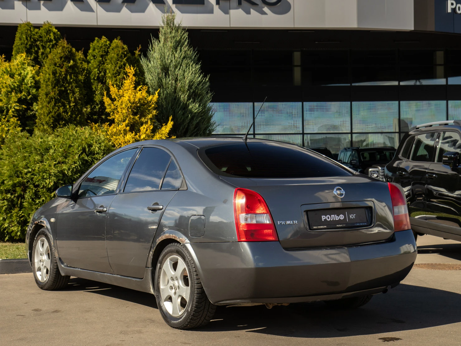 Nissan Primera, 2003