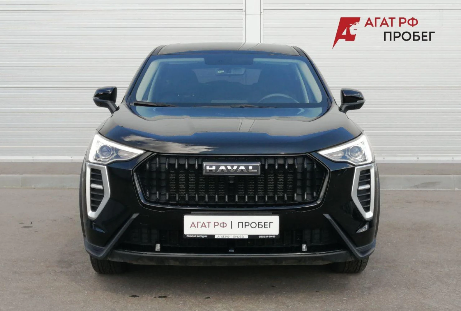HAVAL Jolion, 2024