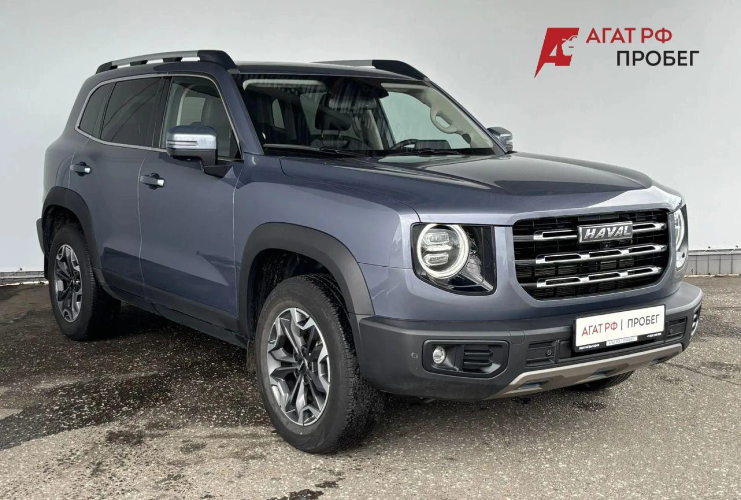HAVAL Dargo, 2023