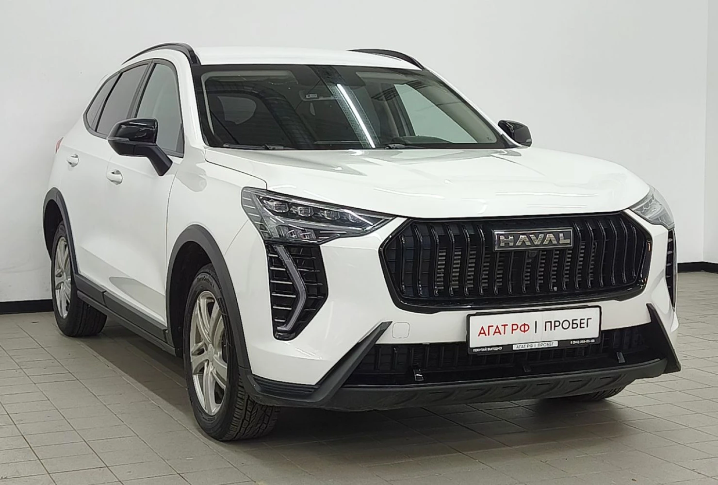 HAVAL Jolion, 2024