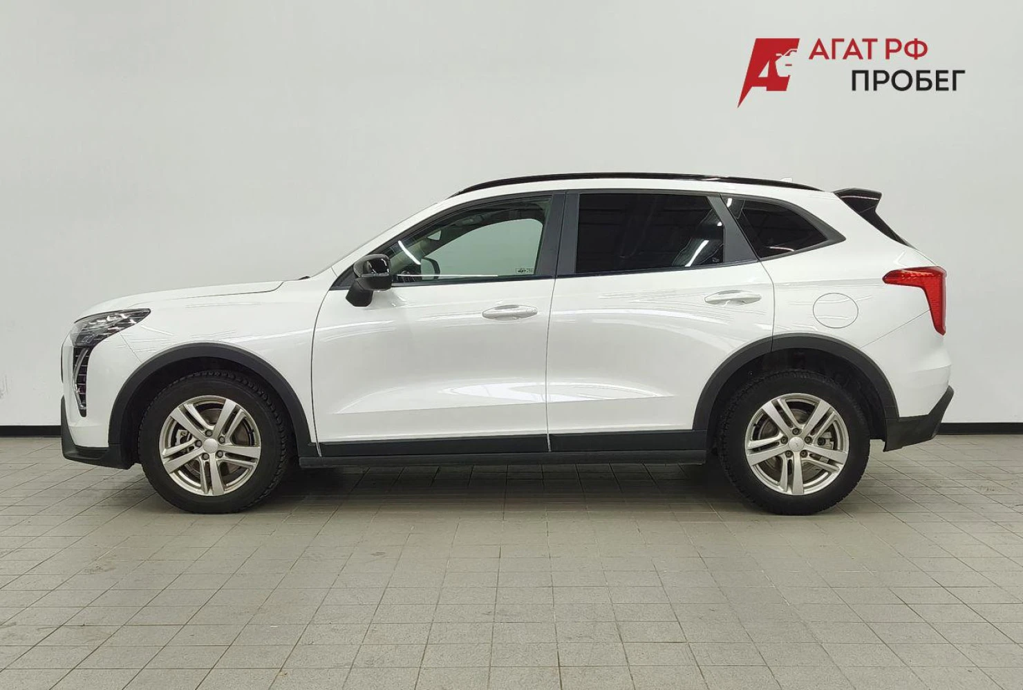HAVAL Jolion, 2024