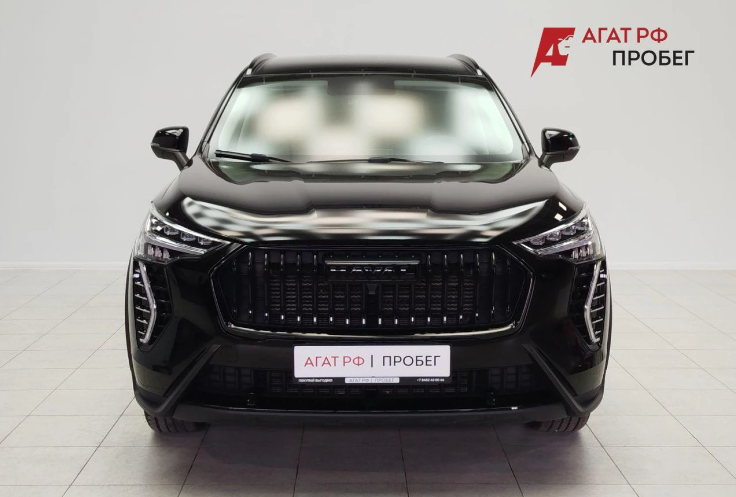 HAVAL Jolion, 2024