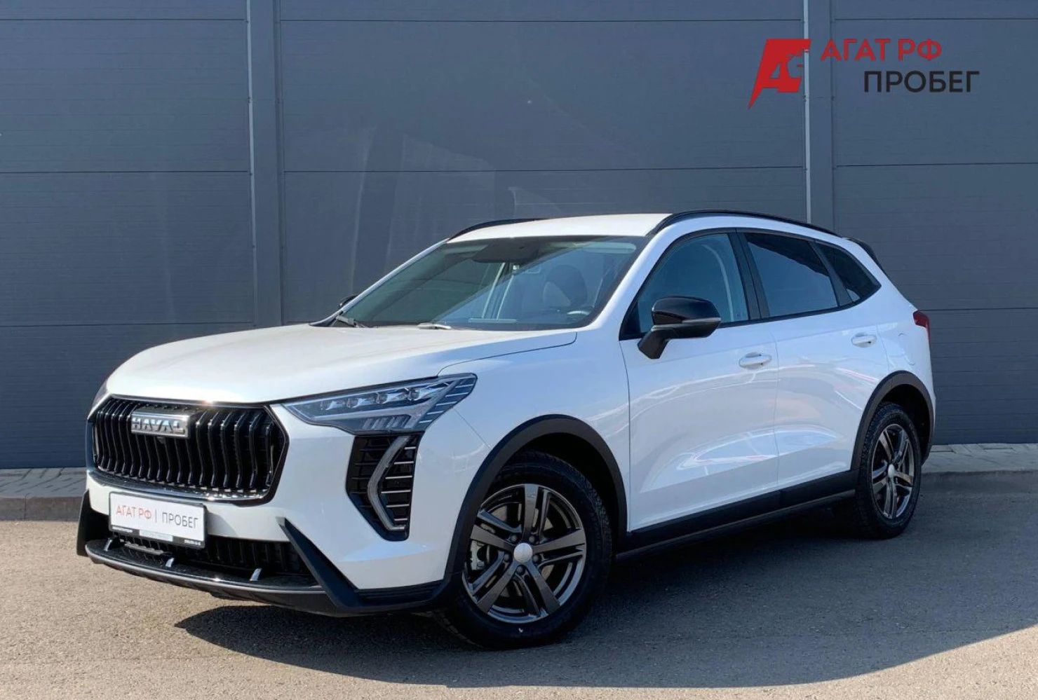 HAVAL Jolion, 2024