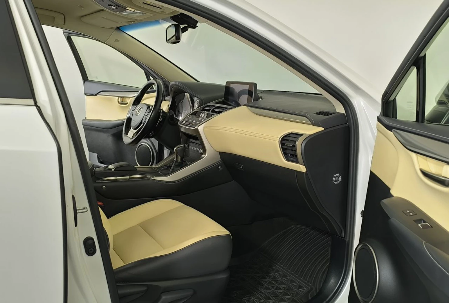 Lexus NX, 2018