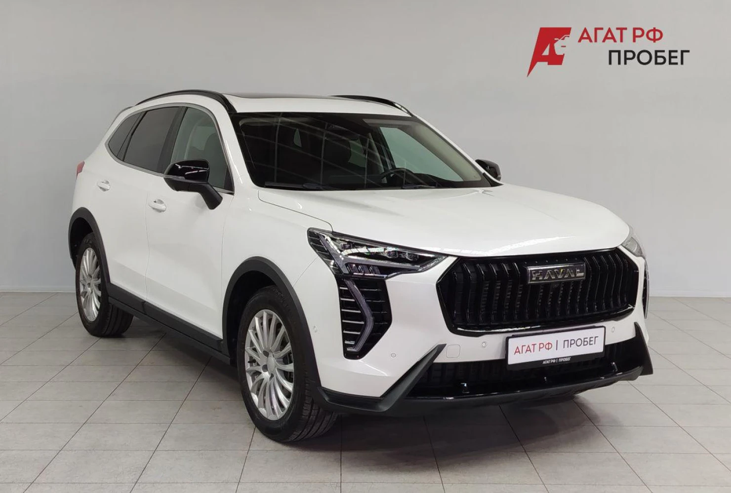 HAVAL Jolion, 2024