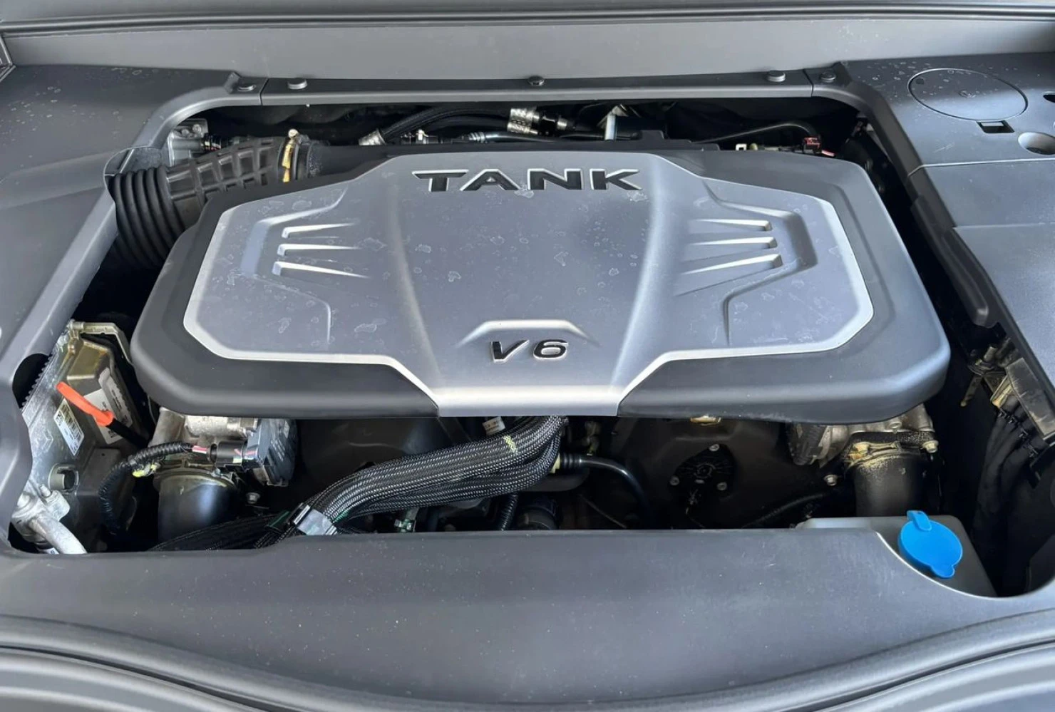 Tank 700, 2024