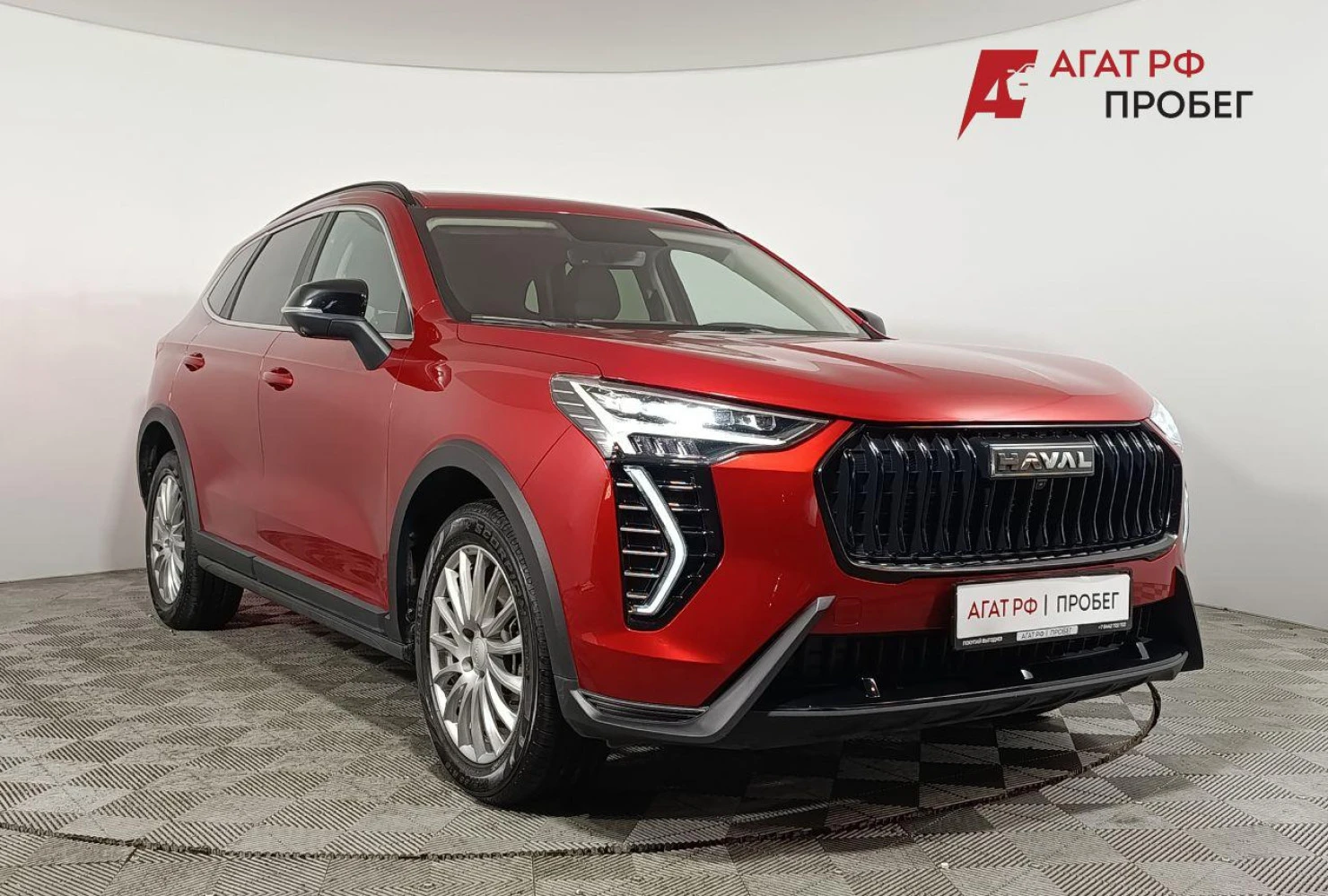HAVAL Jolion, 2024