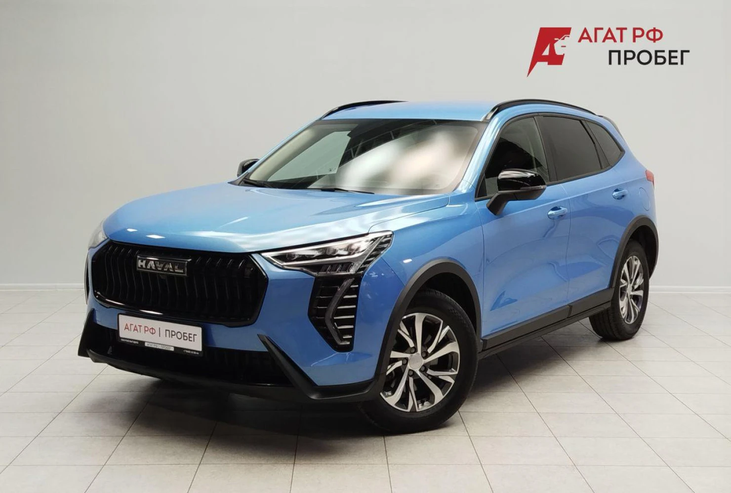 HAVAL Jolion, 2024