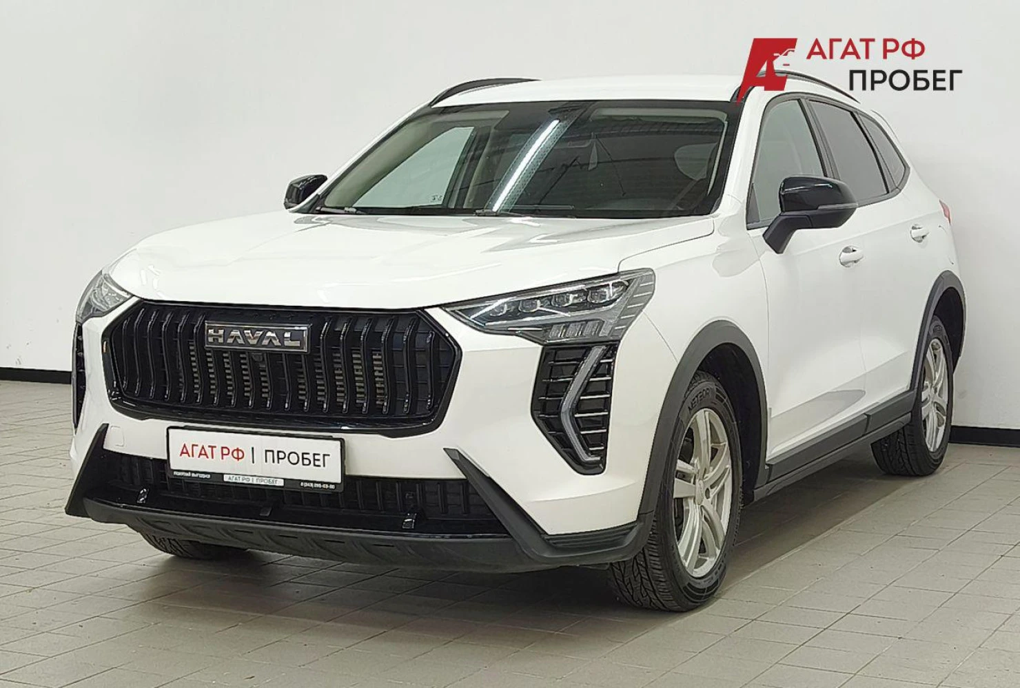 HAVAL Jolion, 2024