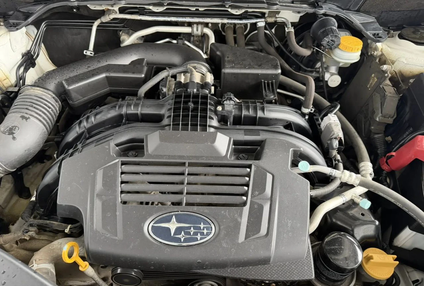 Subaru Forester, 2019