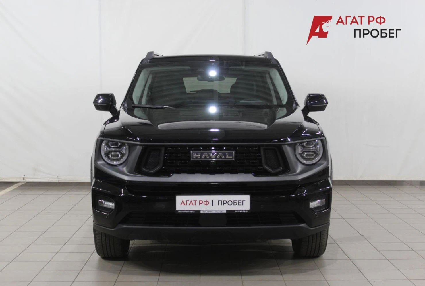HAVAL H7, 2025