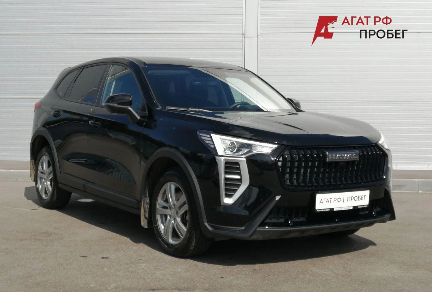 HAVAL Jolion, 2024