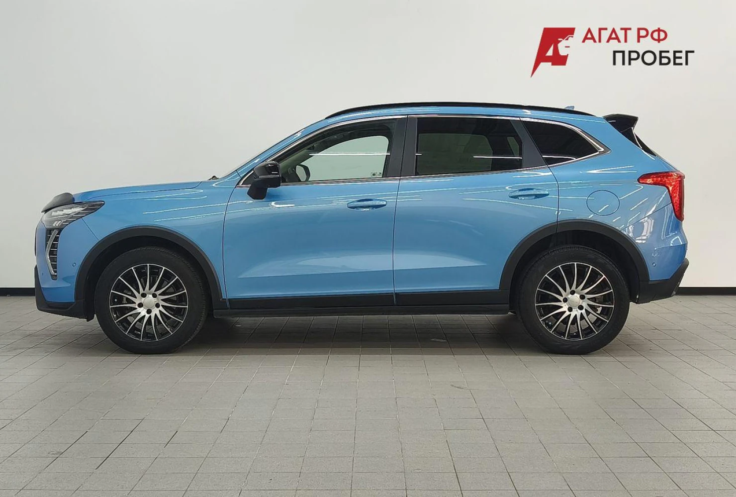 HAVAL Jolion, 2024