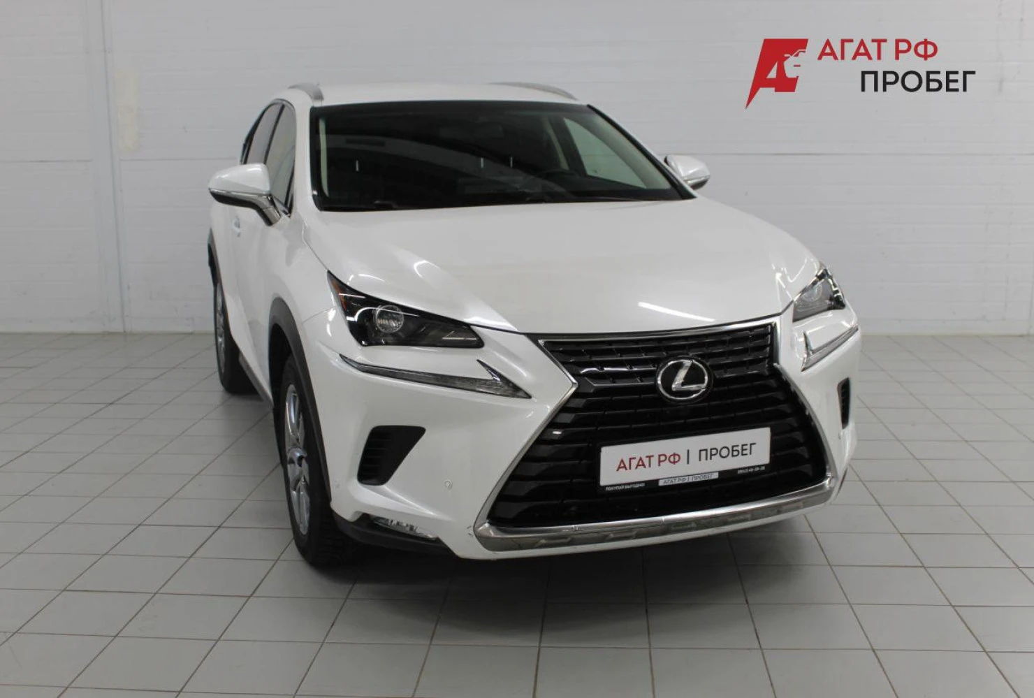 Lexus NX, 2019
