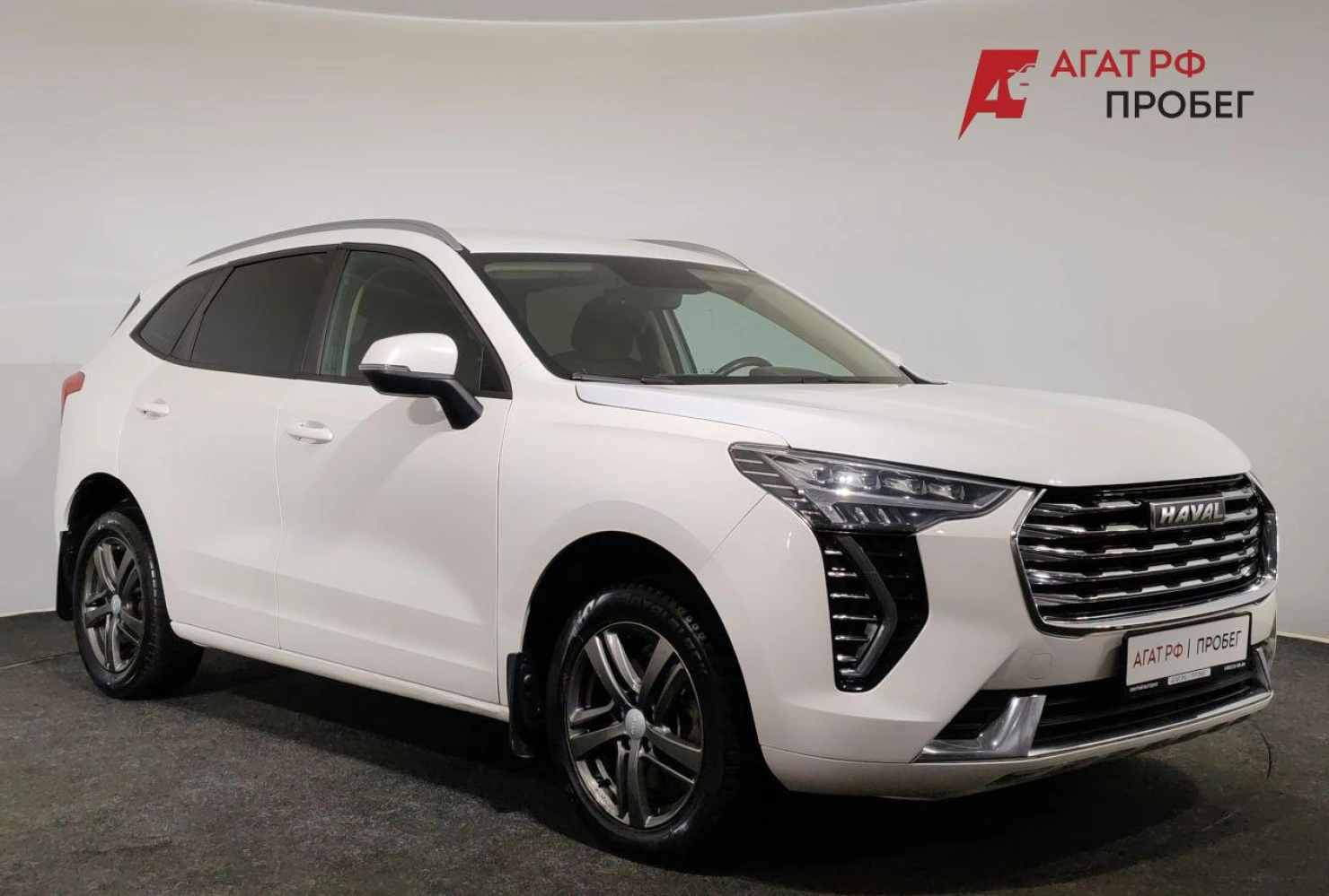 HAVAL Jolion, 2023