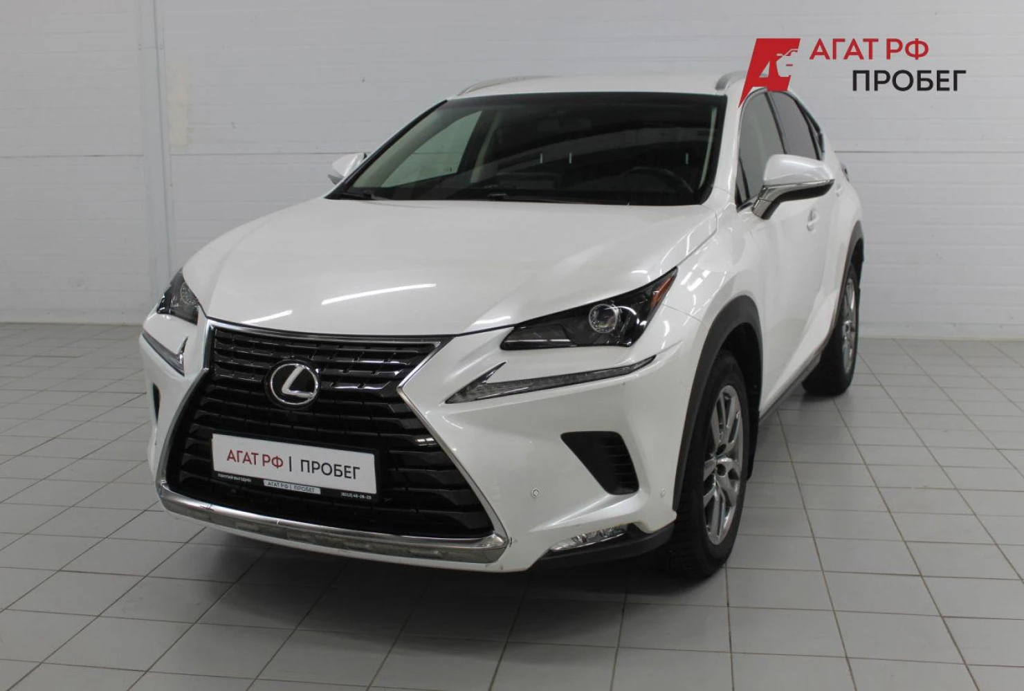 Lexus NX, 2019