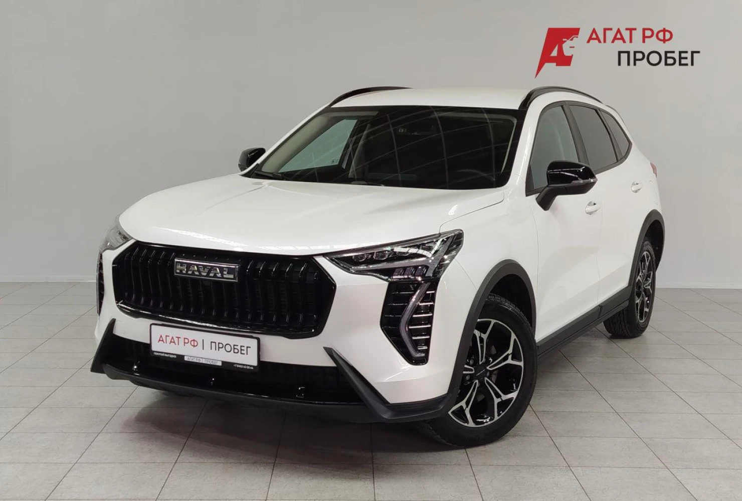 HAVAL Jolion, 2024