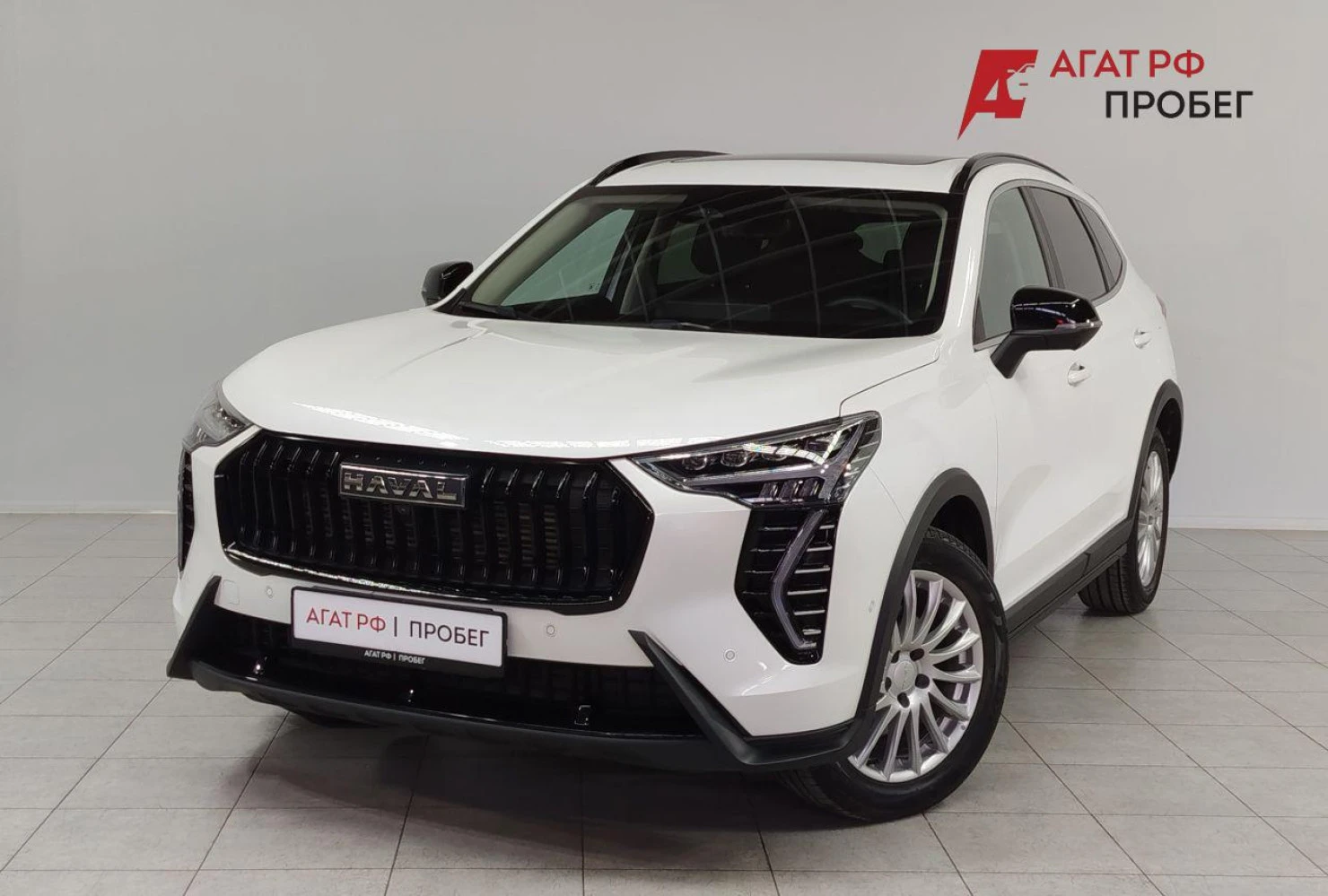 HAVAL Jolion, 2024