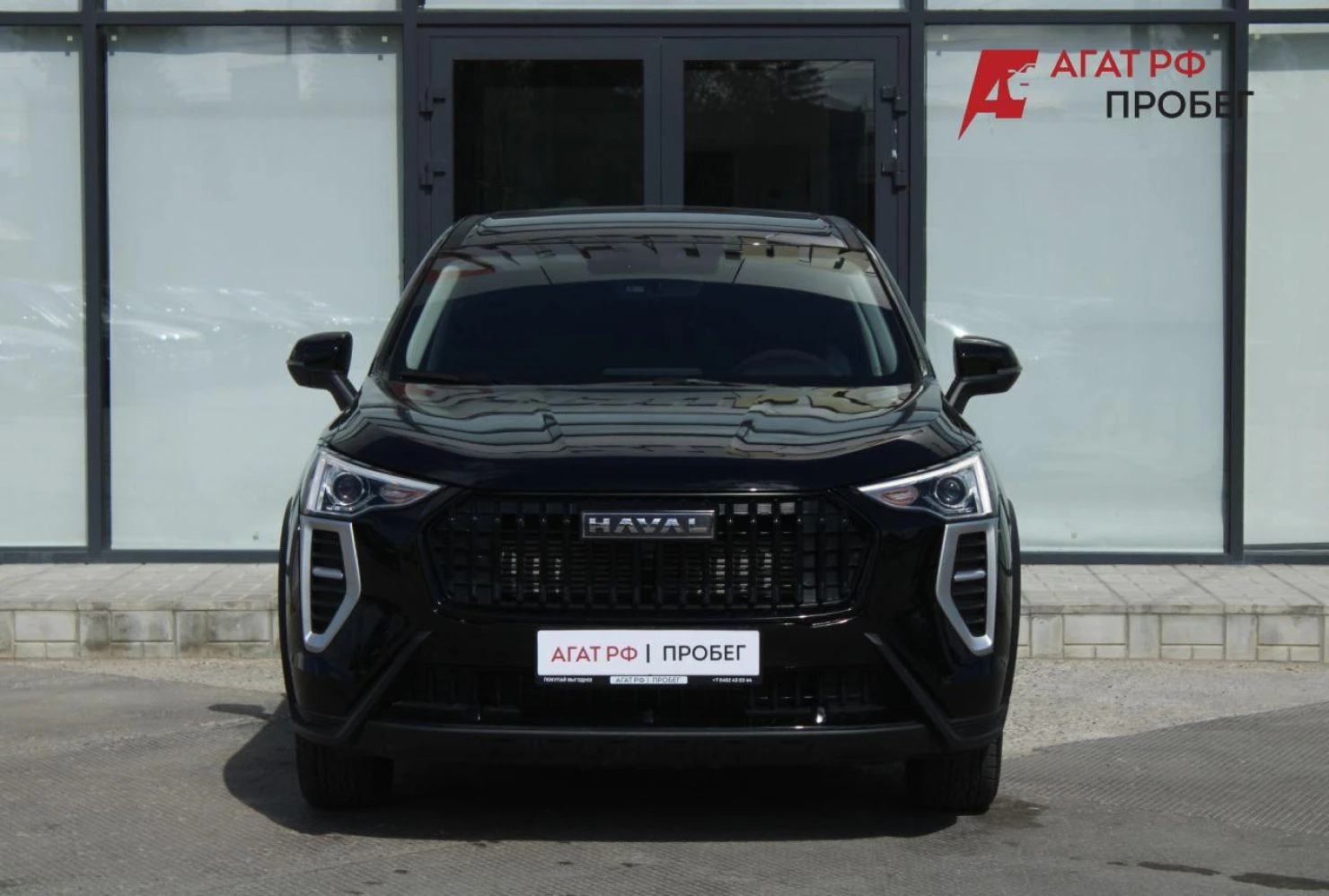 HAVAL Jolion, 2024
