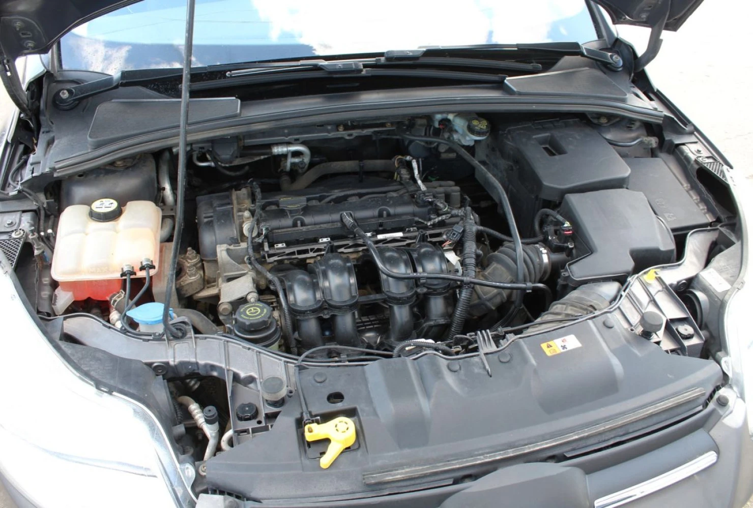 Ford Focus, 2013