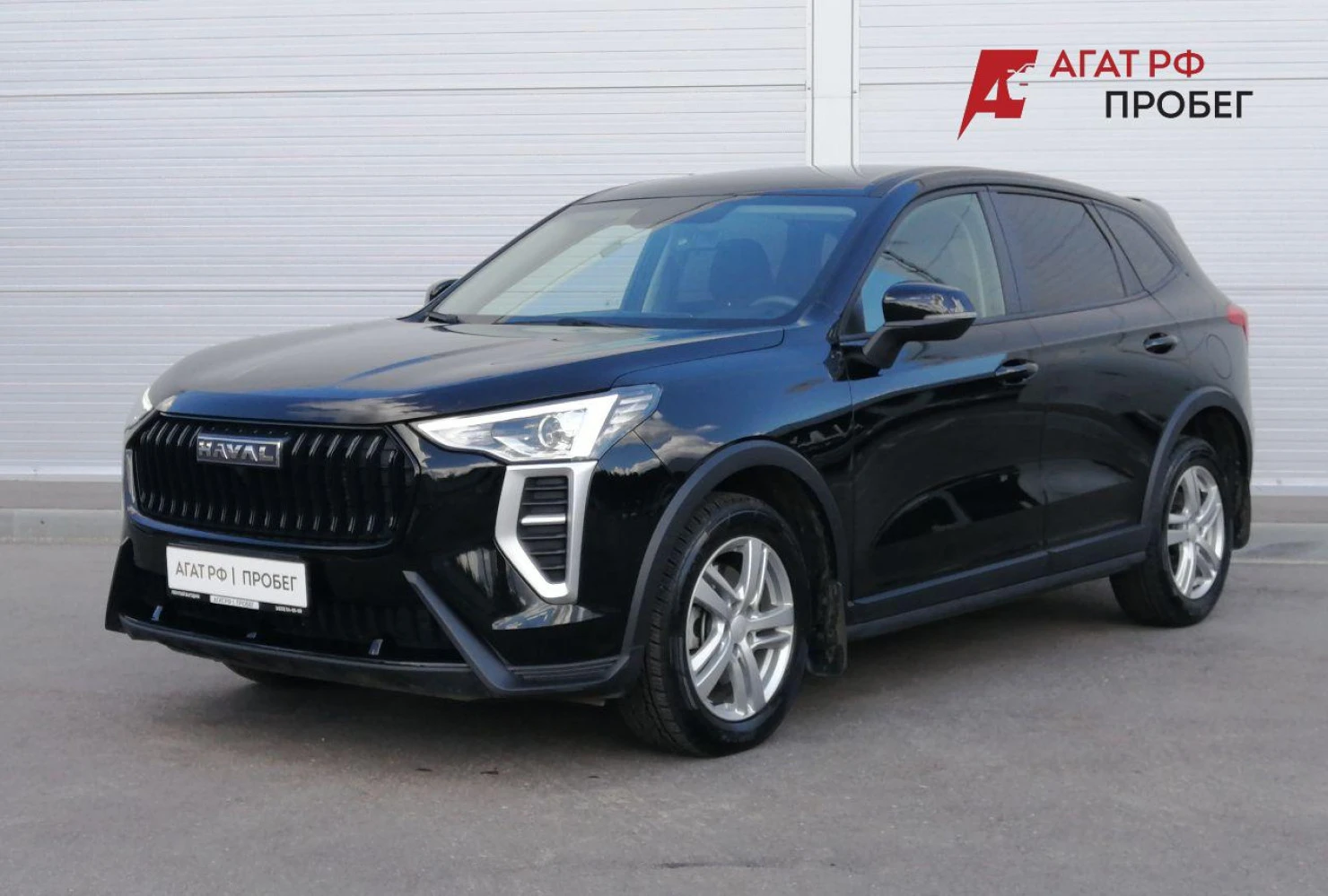 HAVAL Jolion, 2024