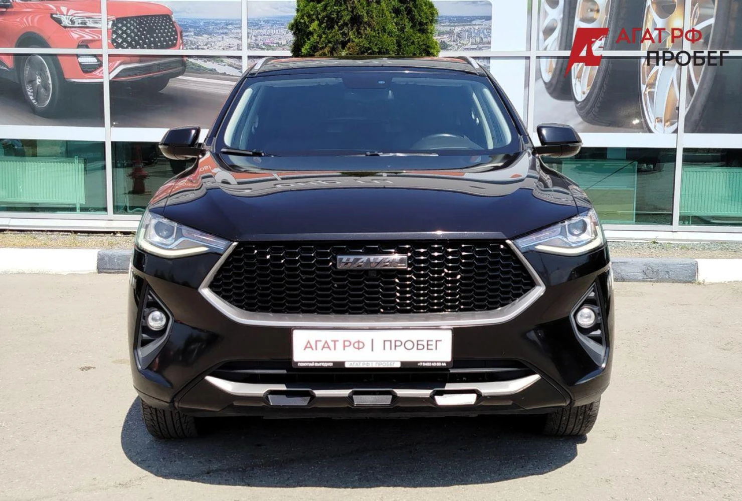 HAVAL F7, 2019