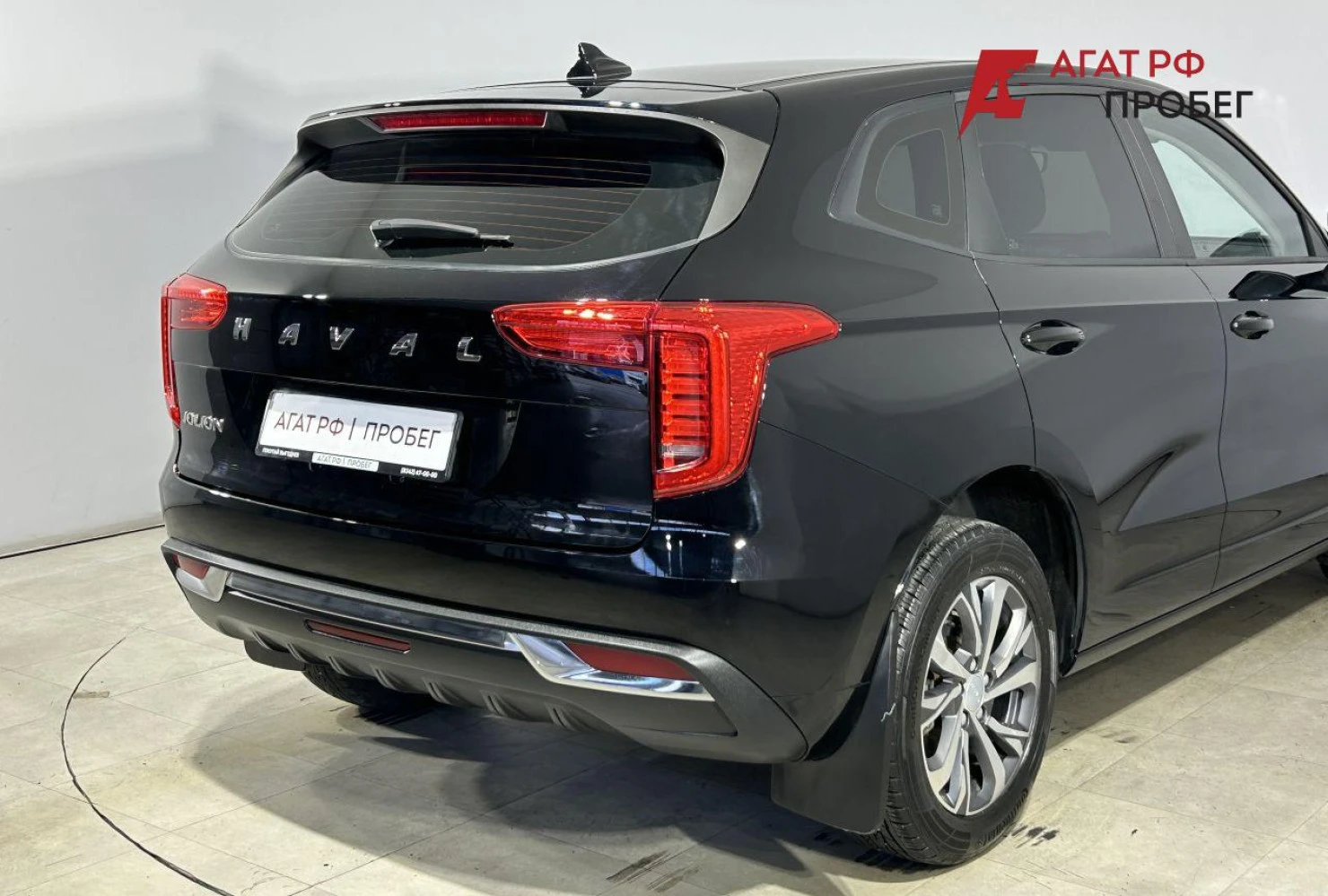 HAVAL Jolion, 2023