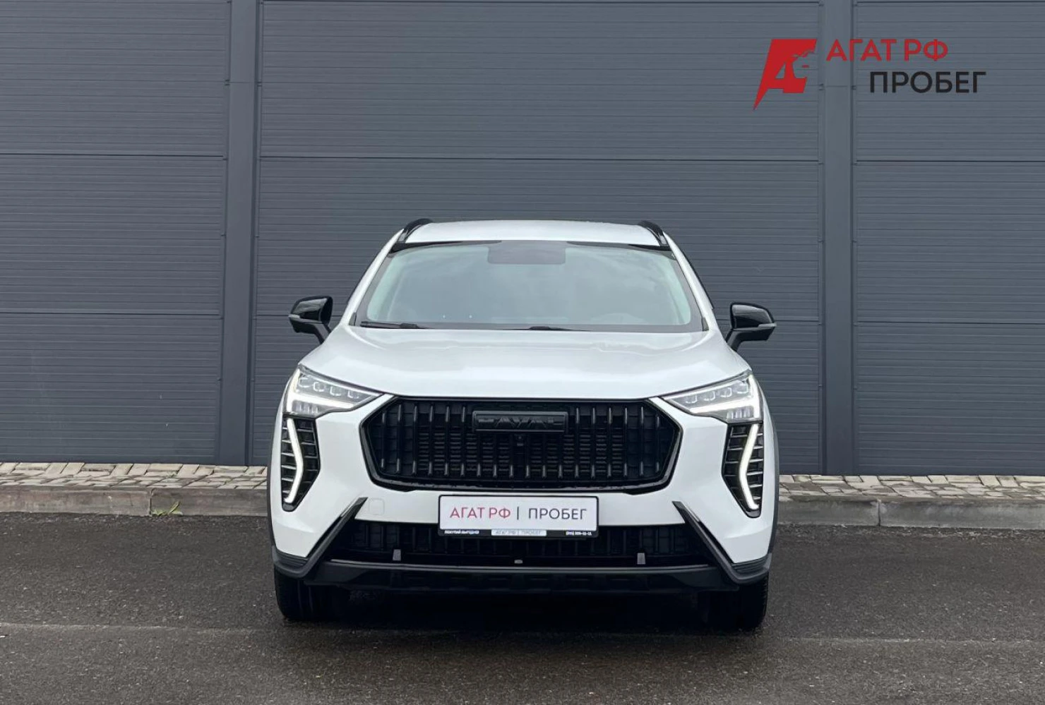 HAVAL Jolion, 2024
