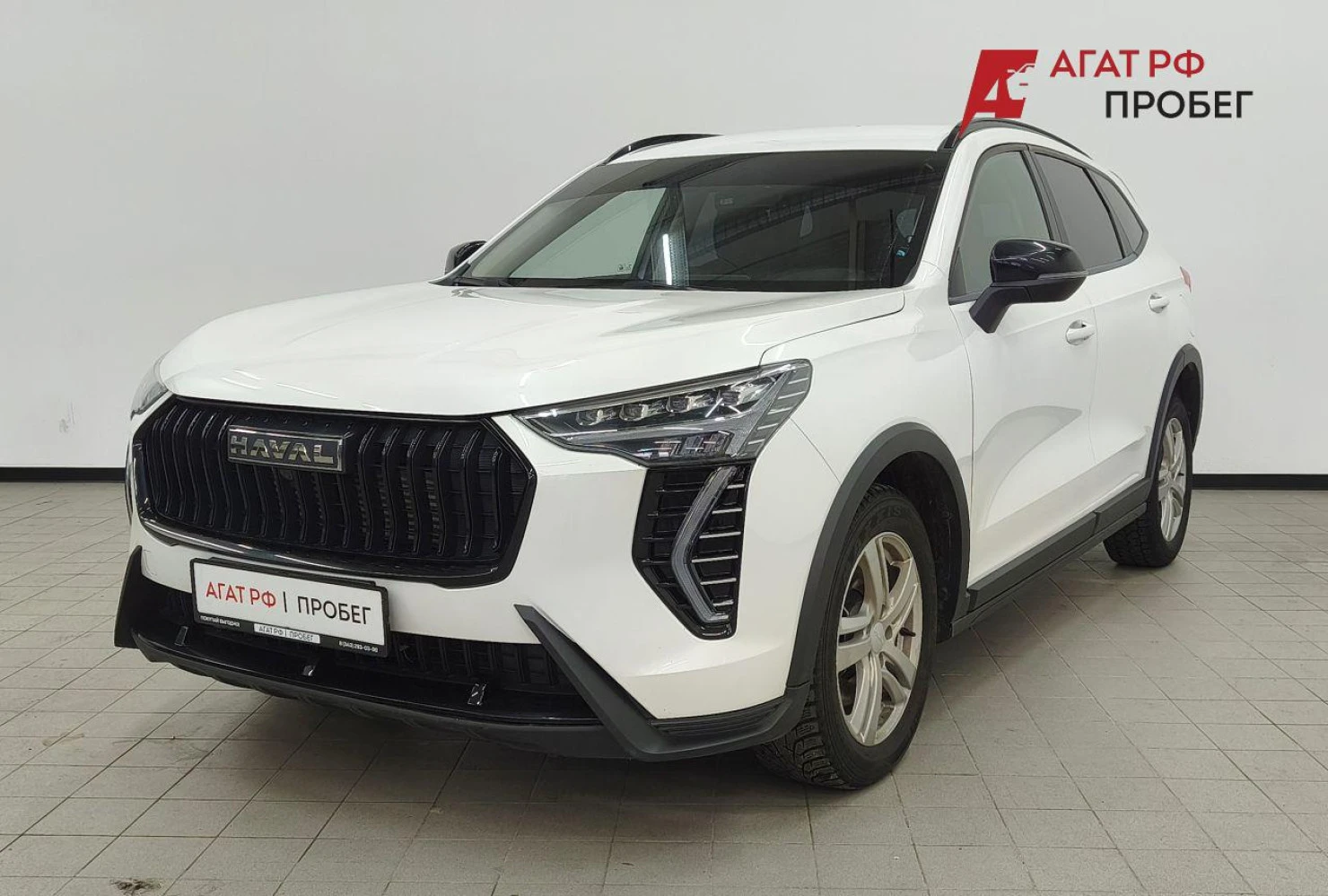 HAVAL Jolion, 2024