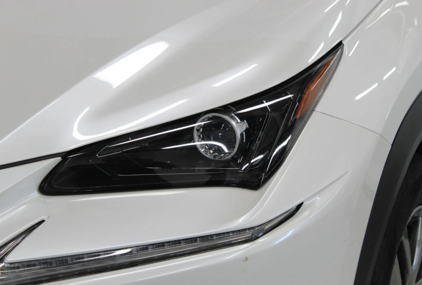 Lexus NX, 2019