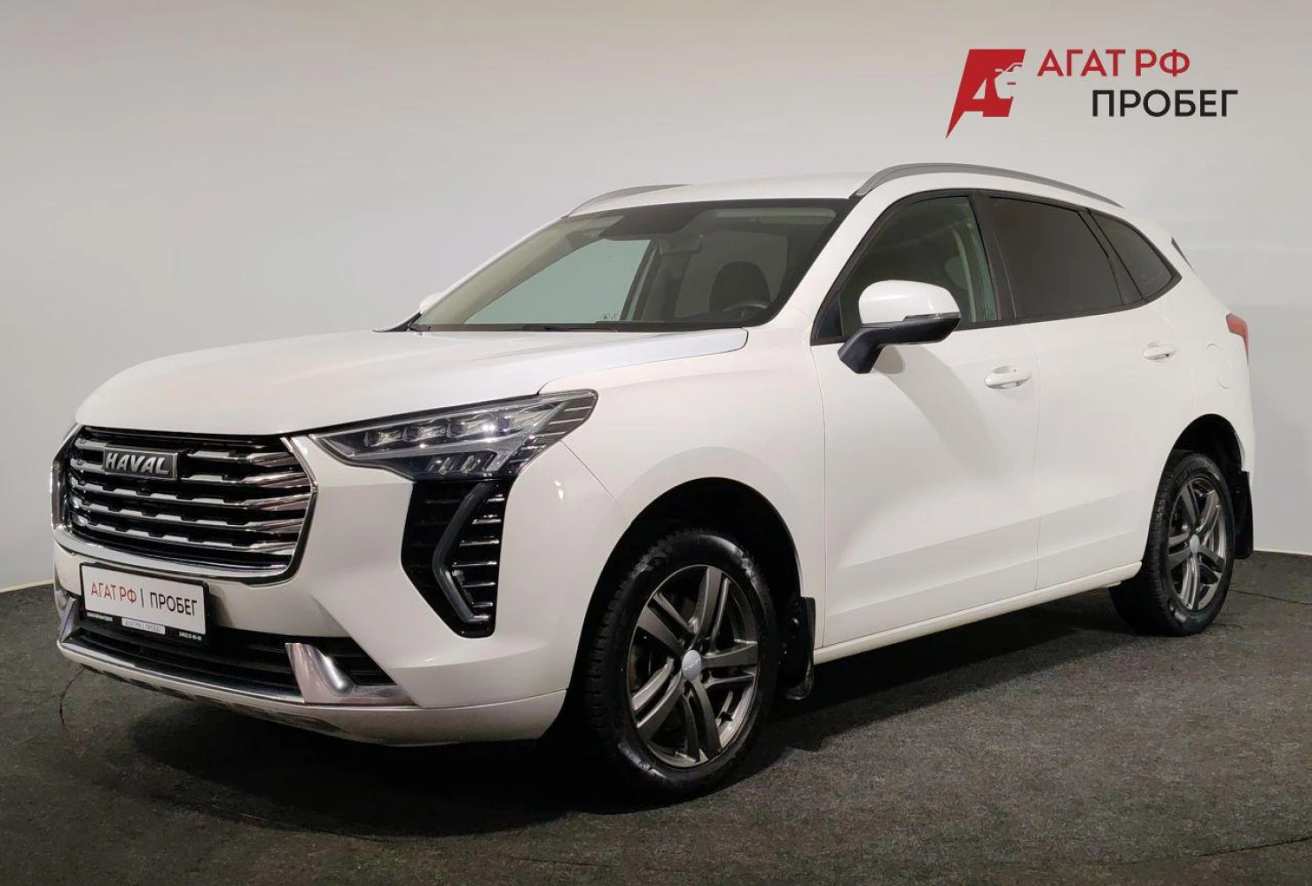 HAVAL Jolion, 2023