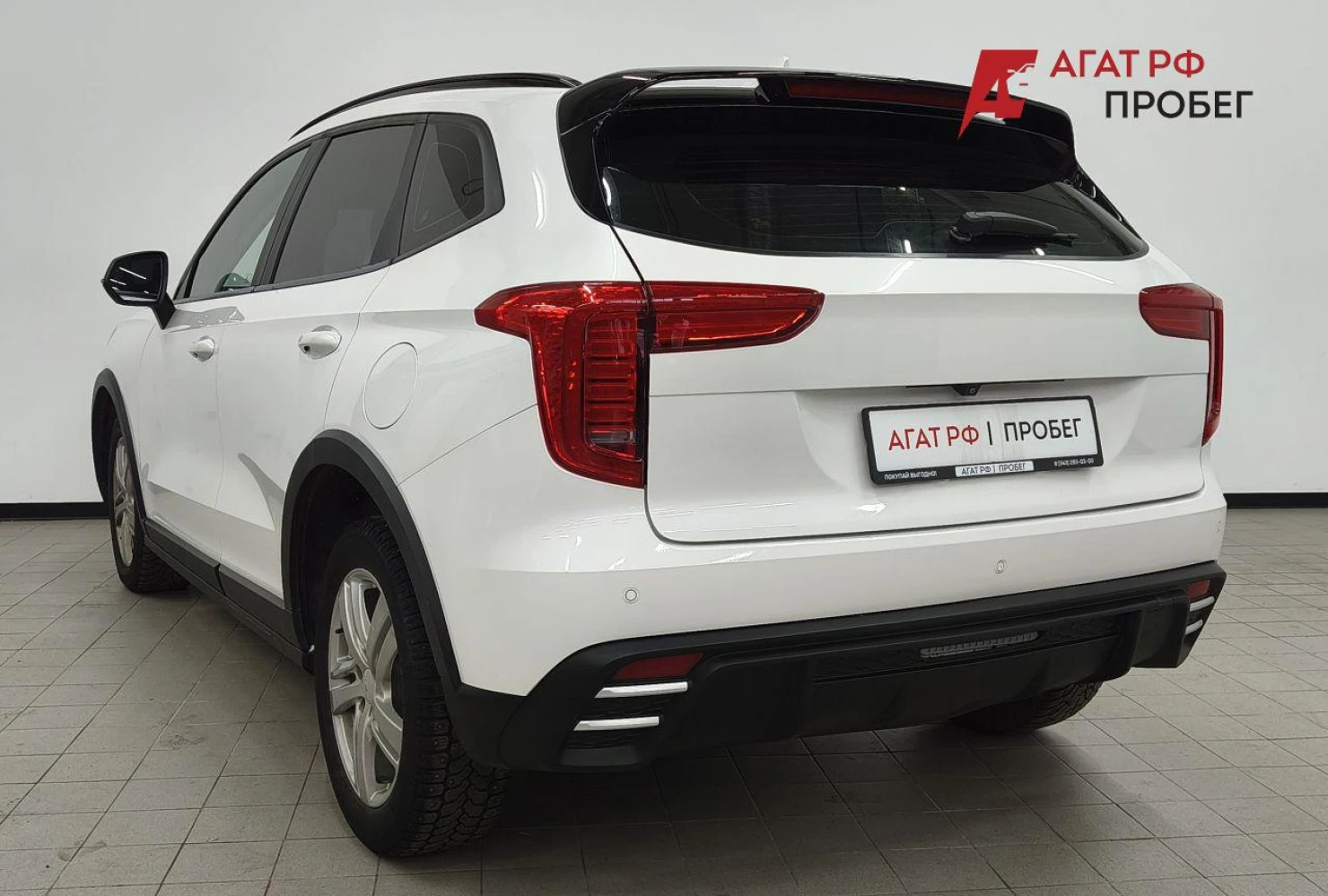 HAVAL Jolion, 2024