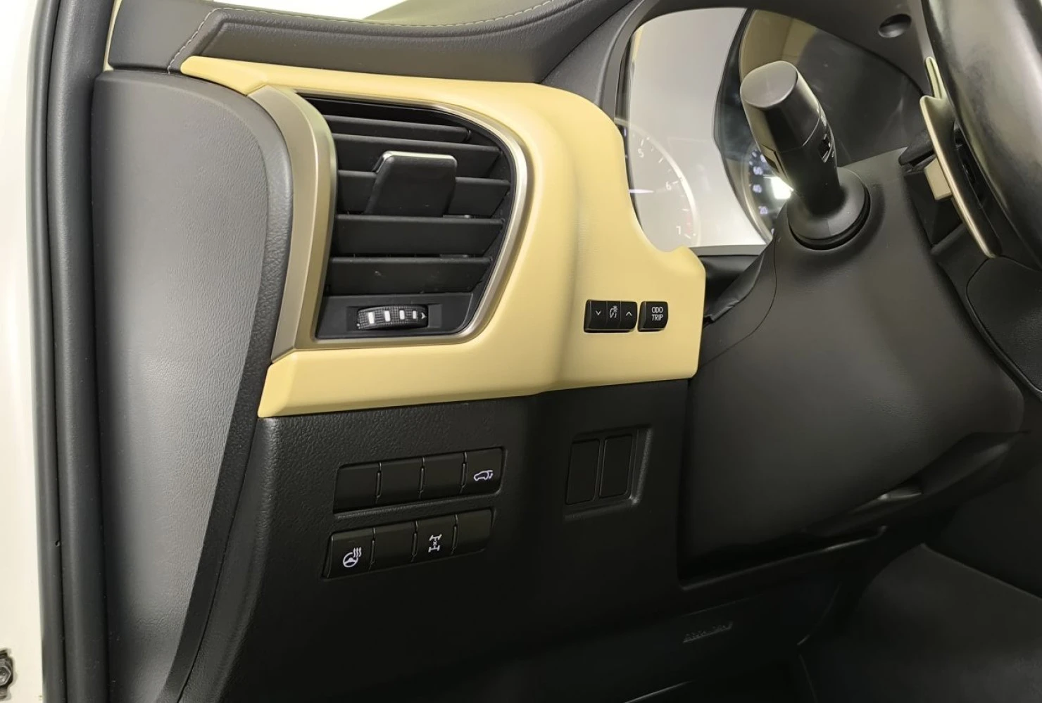 Lexus NX, 2018