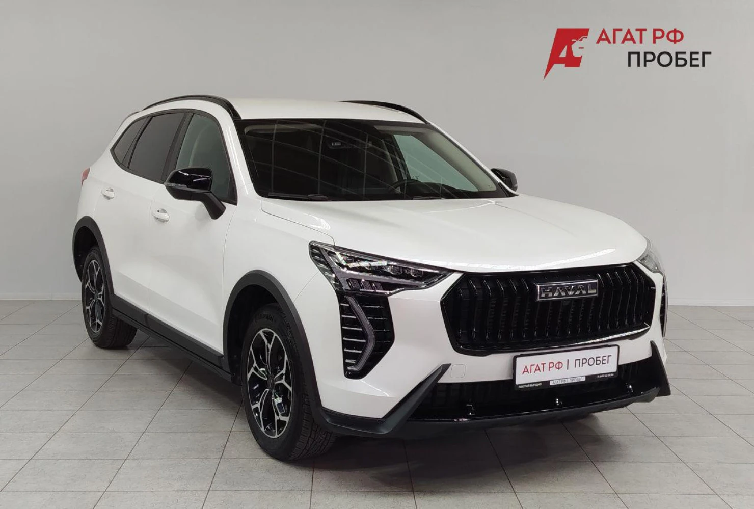 HAVAL Jolion, 2024