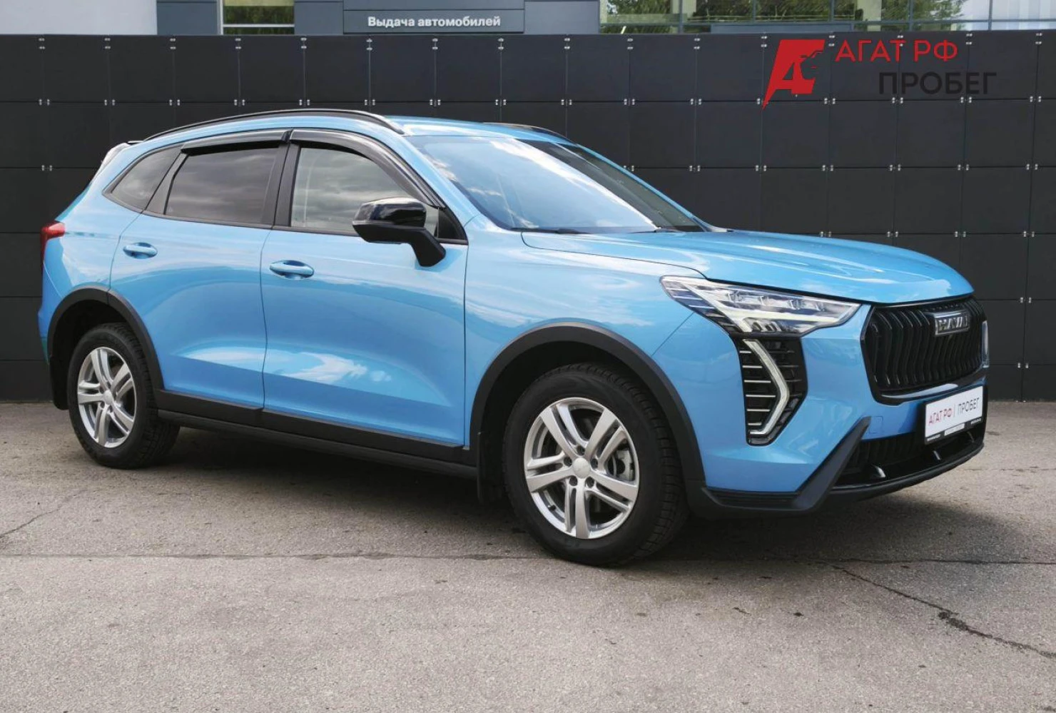 HAVAL Jolion, 2024