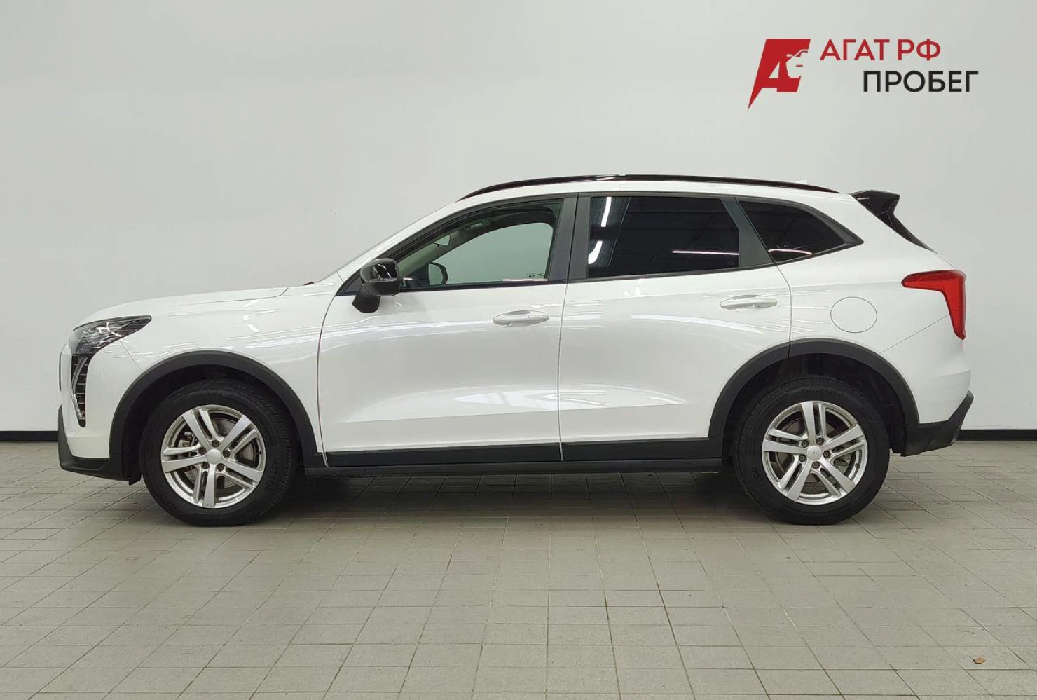 HAVAL Jolion, 2024