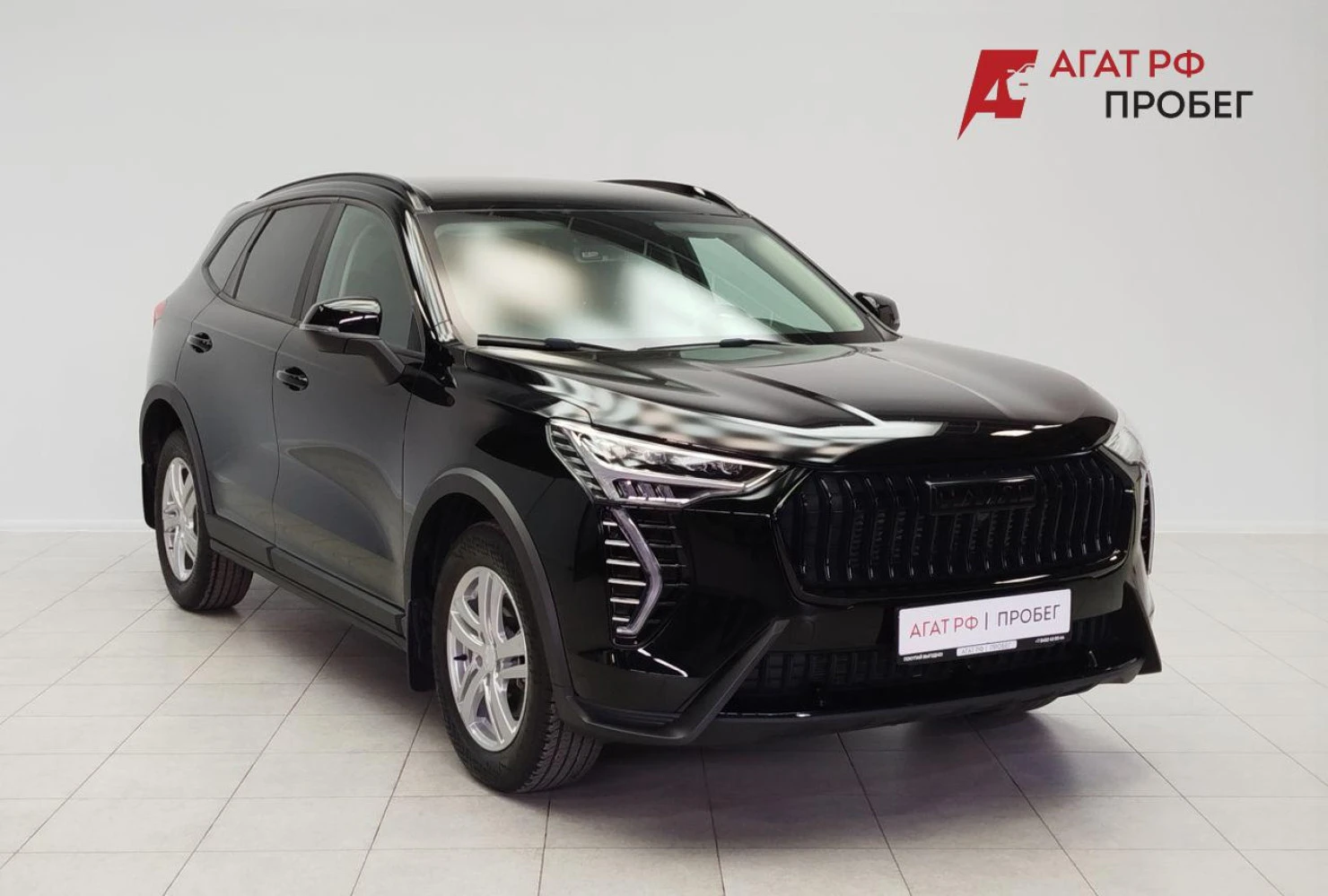 HAVAL Jolion, 2024