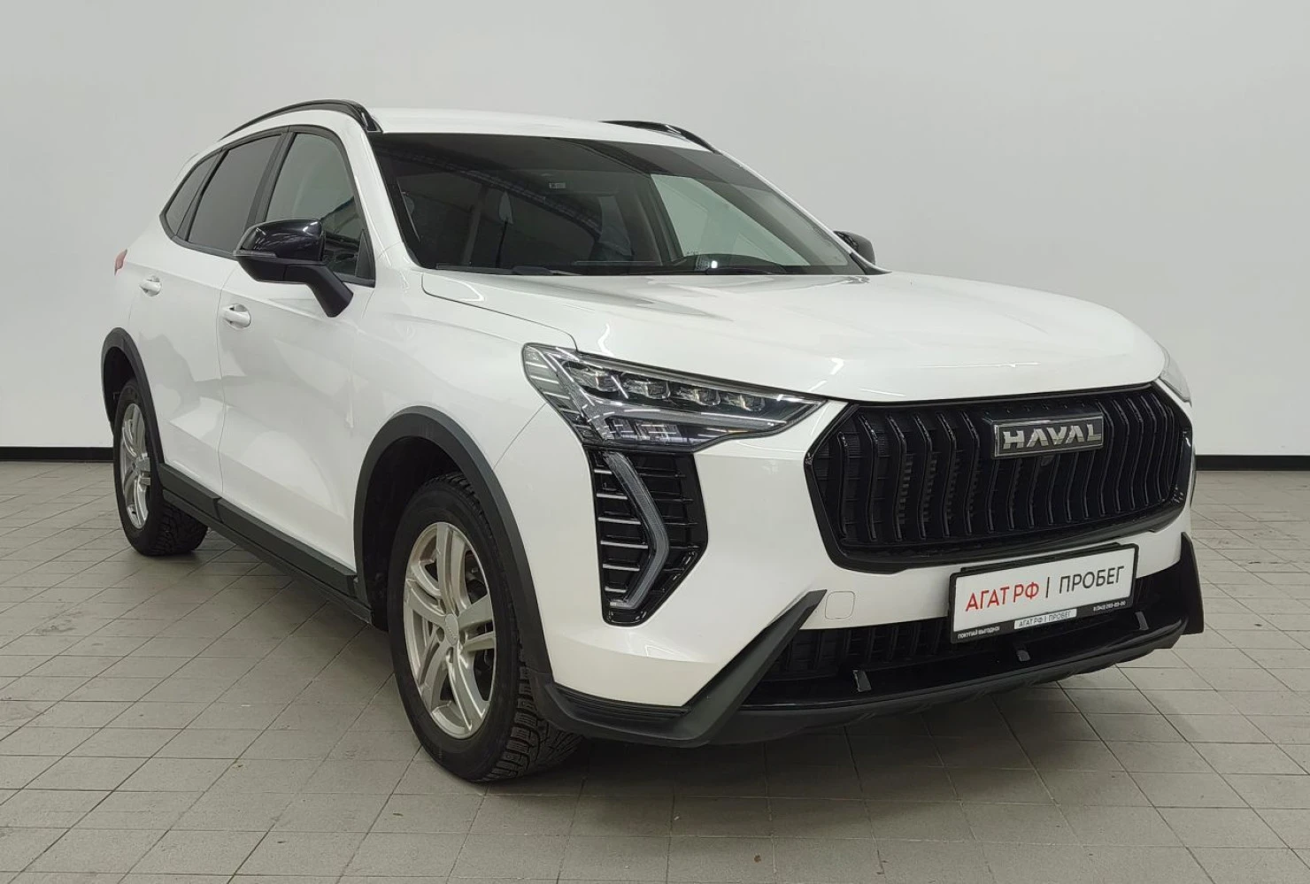 HAVAL Jolion, 2024