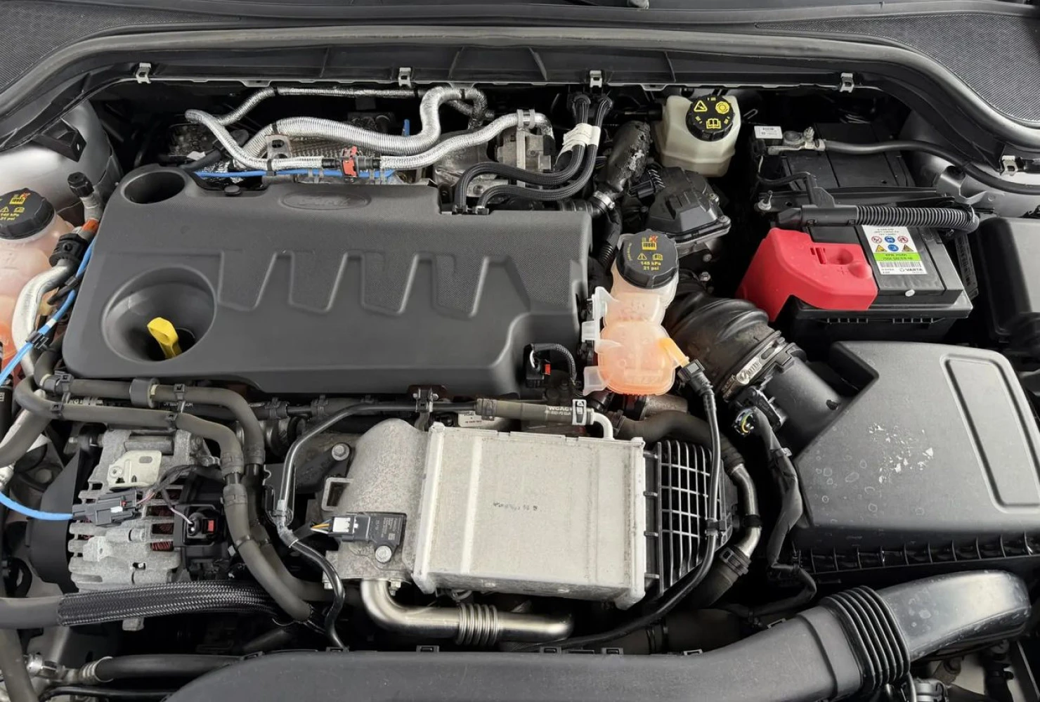 Ford Focus, 2019