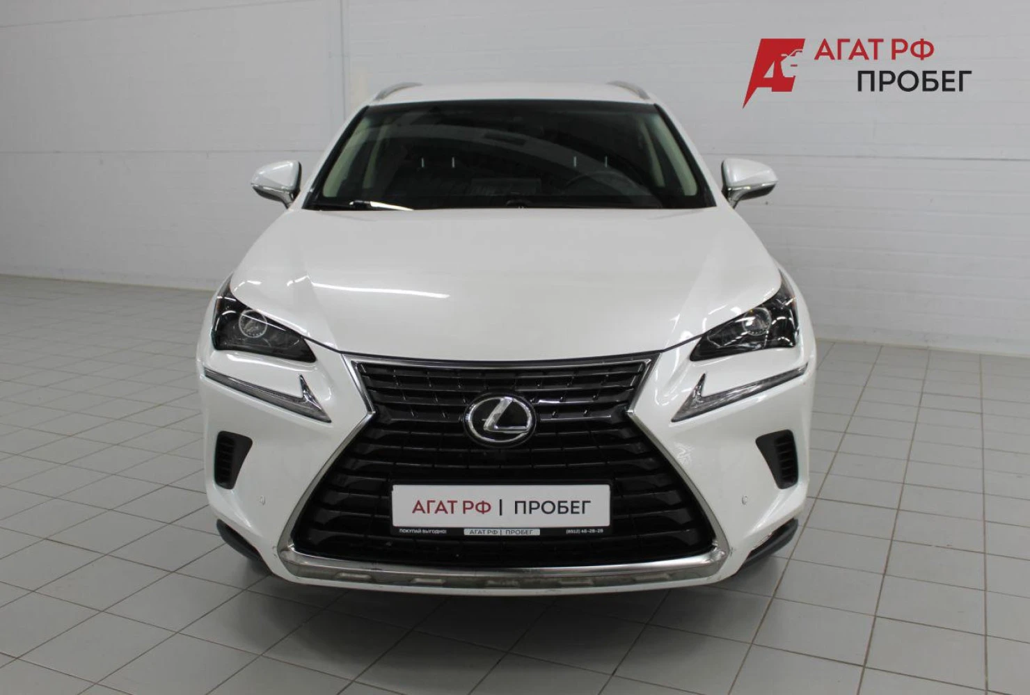 Lexus NX, 2019
