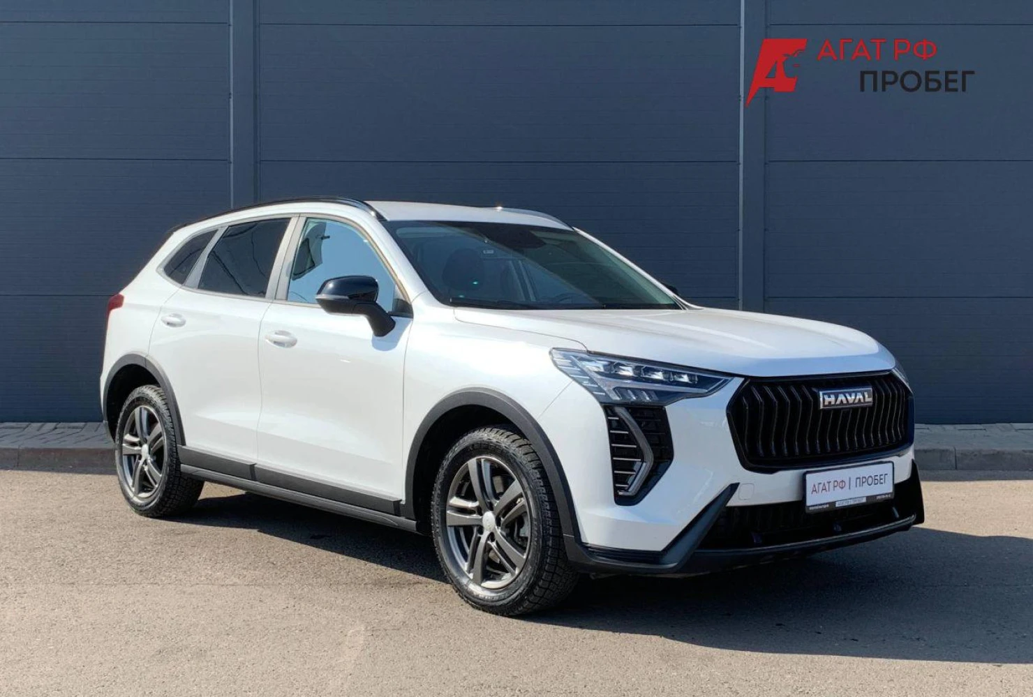 HAVAL Jolion, 2024